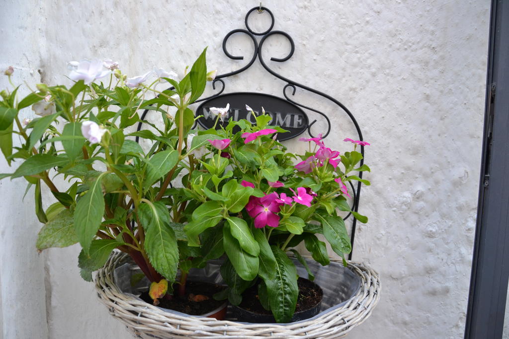La Violetta Ostuni Apartment Phòng bức ảnh